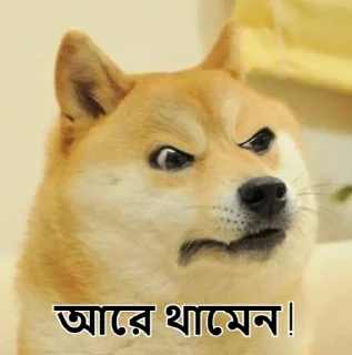 🤬-Bangali's stickers, Telegram Sticker