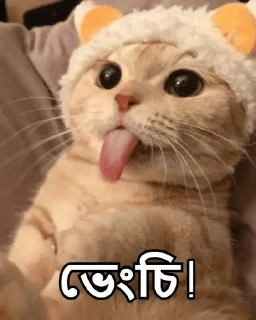 😏-Bangali's stickers, Telegram Sticker
