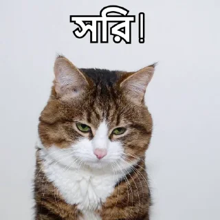 😔-Bangali's stickers, Telegram Sticker