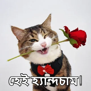 😉-Bangali's stickers, Telegram Sticker
