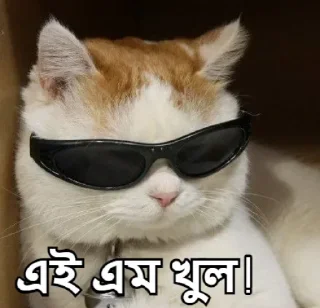 😎-Bangali's stickers, Telegram Sticker