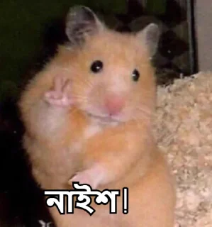 ✌-Bangali's stickers, Telegram Sticker