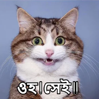 🤗-Bangali's stickers, Telegram Sticker