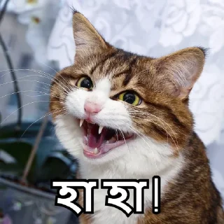 😂-Bangali's stickers, Telegram Sticker