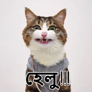 😄-Bangali's stickers, Telegram Sticker