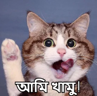 😍-Bangali's stickers, Telegram Sticker