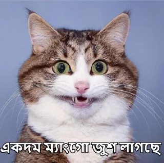 😎-Bangali's stickers, Telegram Sticker