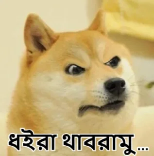 😠-Bangali's stickers, Telegram Sticker