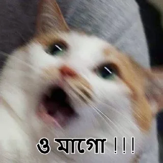 😱-Bangali's stickers, Telegram Sticker