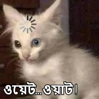 😐-Bangali's stickers, Telegram Sticker