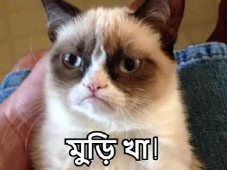 😒-Bangali's stickers, Telegram Sticker