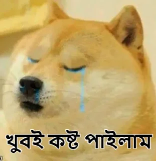 😣-Bangali's stickers, Telegram Sticker
