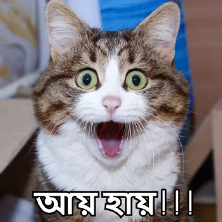 😮-Bangali's stickers, Telegram Sticker