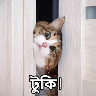 👀-Bangali's stickers, Telegram Sticker