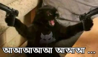 🤬-Bangali's stickers, Telegram Sticker