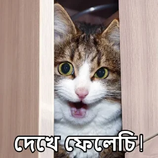👀-Bangali's stickers, Telegram Sticker