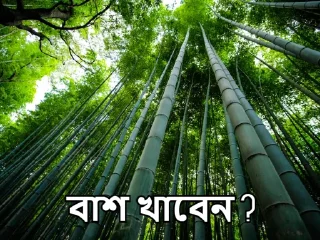 🤔-Bangali's stickers, Telegram Sticker