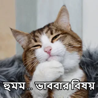 🤔-Bangali's stickers, Telegram Sticker