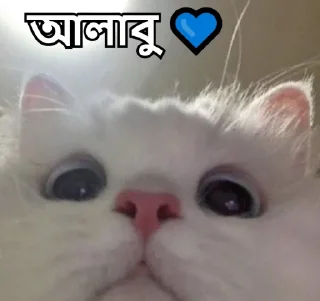 💙-Bangali's stickers, Telegram Sticker