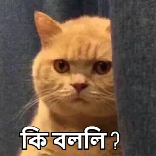😑-Bangali's stickers, Telegram Sticker