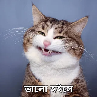 😁-Bangali's stickers, Telegram Sticker