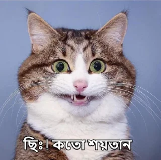 😒-Bangali's stickers, Telegram Sticker