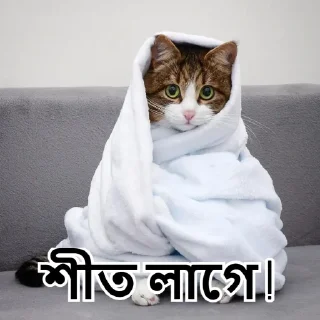 🥶-Bangali's stickers, Telegram Sticker