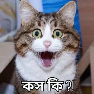 🤯-Bangali's stickers, Telegram Sticker