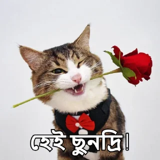 😉-Bangali's stickers, Telegram Sticker