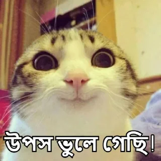 😇-Bangali's stickers, Telegram Sticker