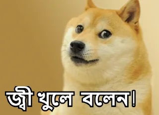 😇-Bangali's stickers, Telegram Sticker
