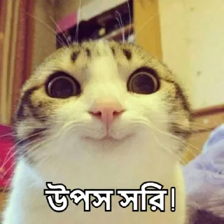 😝-Bangali's stickers, Telegram Sticker