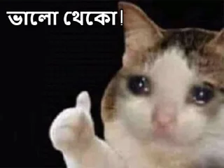 💙-Bangali's stickers, Telegram Sticker