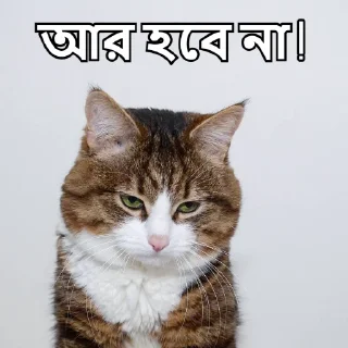☹️-Bangali's stickers, Telegram Sticker