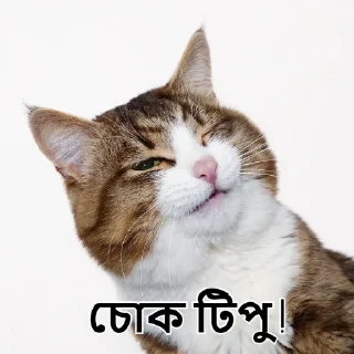😉-Bangali's stickers, Telegram Sticker