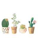 🌵-Bíblia da Mulher ️ @BibliadaMulher, Telegram Sticker