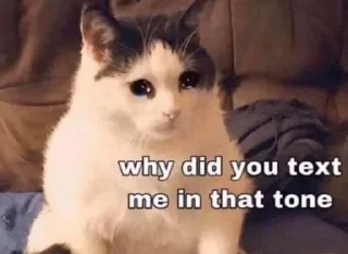 😿-bichitos, Telegram Sticker