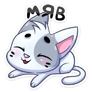 😽- :: @stickroom, Telegram Sticker