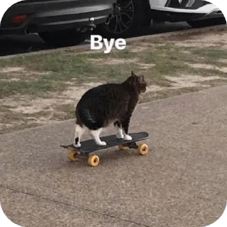 🐱-jamet kuproy, Telegram Sticker