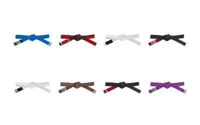 BJJ Ranks Vol. 4