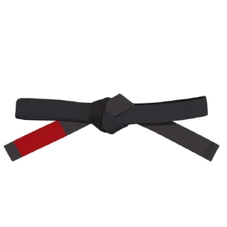 🖤-BJJ Ranks Vol. 4, Telegram Sticker