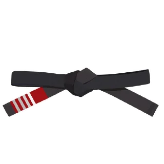 4️⃣-BJJ Ranks Vol. 4, Telegram Sticker