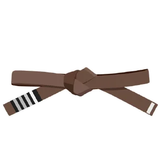 4️⃣-BJJ Ranks Vol. 4, Telegram Sticker
