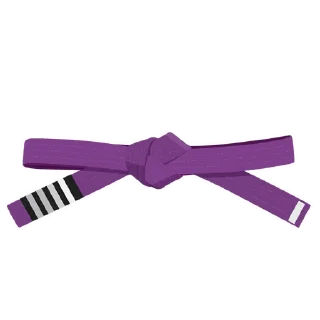 4️⃣-BJJ Ranks Vol. 4, Telegram Sticker