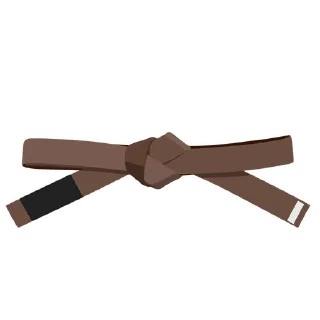 1️⃣-BJJ Ranks Vol. 4, Telegram Sticker