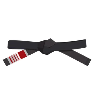 4️⃣-BJJ Ranks Vol. 4, Telegram Sticker