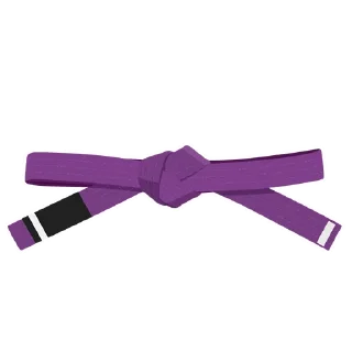 1️⃣-BJJ Ranks Vol. 4, Telegram Sticker