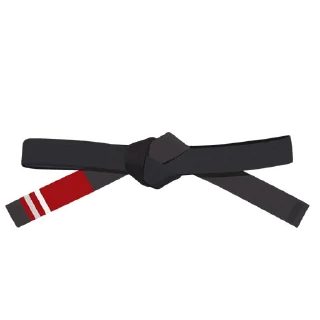 2️⃣-BJJ Ranks Vol. 4, Telegram Sticker