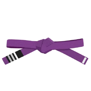 3️⃣-BJJ Ranks Vol. 4, Telegram Sticker