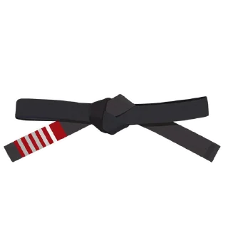5️⃣-BJJ Ranks Vol. 4, Telegram Sticker
